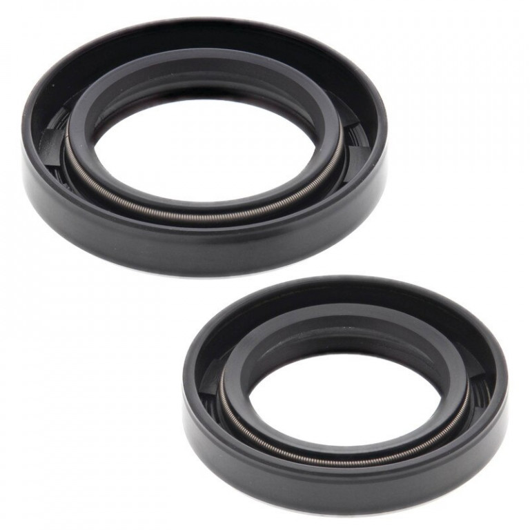 Engine Oil Seal Kit WINDEROSA 55145
