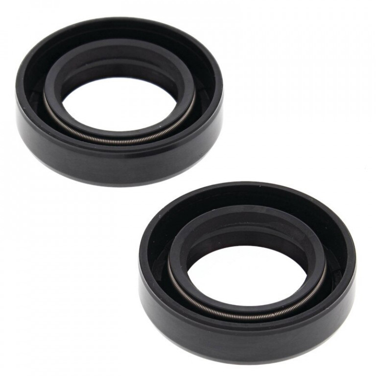 Engine Oil Seal Kit WINDEROSA 55156