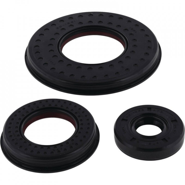 Engine Oil Seal Kit WINDEROSA 55214