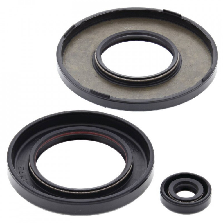 Engine Oil Seal Kit WINDEROSA 55223