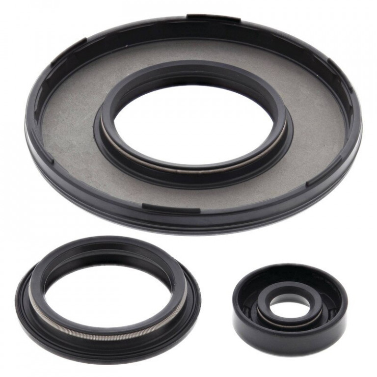 Engine Oil Seal Kit WINDEROSA 55229