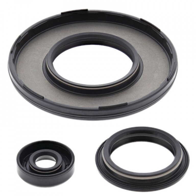 Engine Oil Seal Kit WINDEROSA 55230
