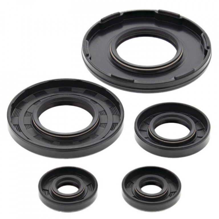 Engine Oil Seal Kit WINDEROSA 55233