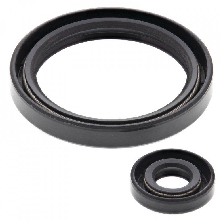 Engine Oil Seal Kit WINDEROSA 55237