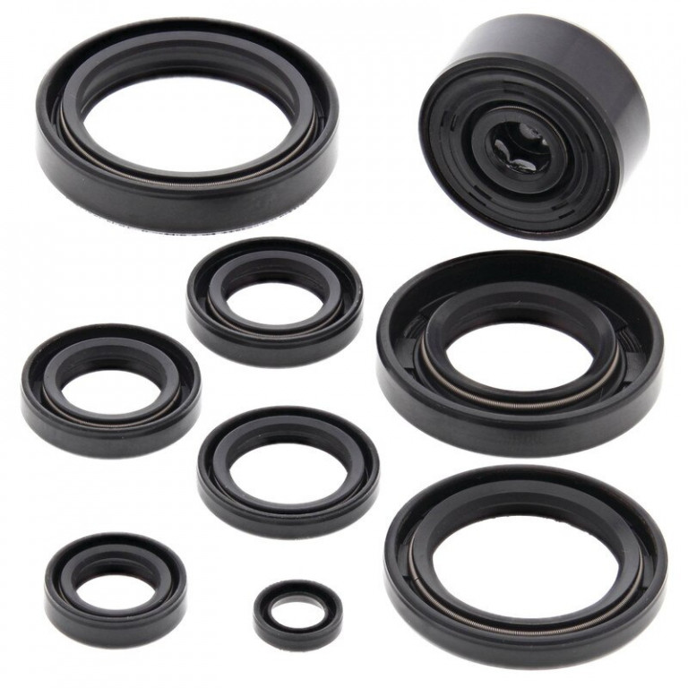 Engine Oil Seal Kit WINDEROSA 822116