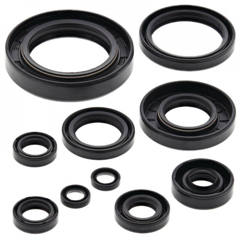 Engine Oil Seal Kit WINDEROSA 822122