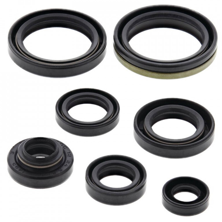 Engine Oil Seal Kit WINDEROSA 822124