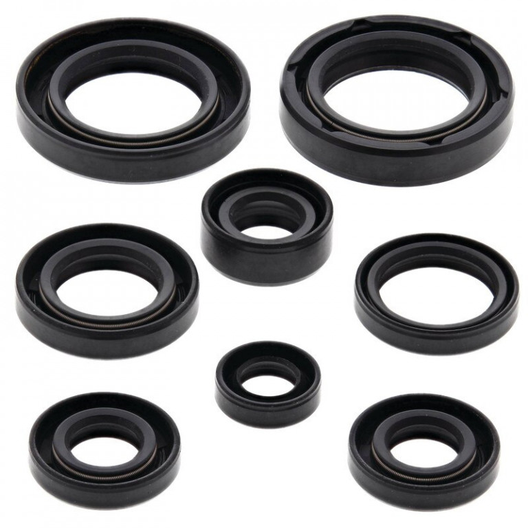 Engine Oil Seal Kit WINDEROSA 822130