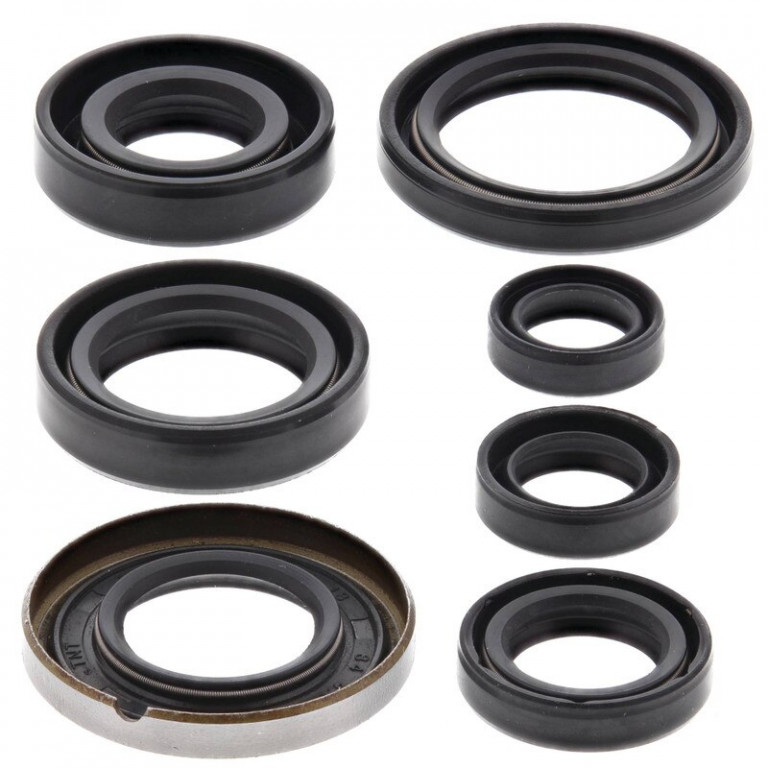 Engine Oil Seal Kit WINDEROSA 822161