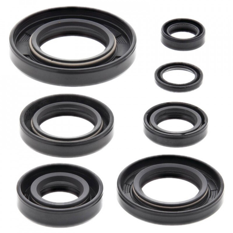 Engine Oil Seal Kit WINDEROSA 822164