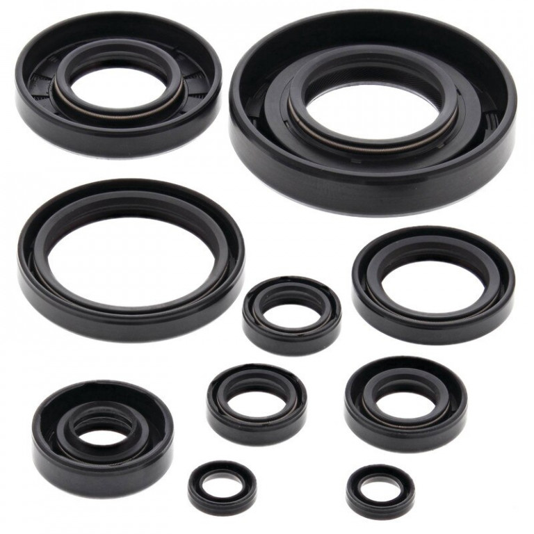 Engine Oil Seal Kit WINDEROSA 822174