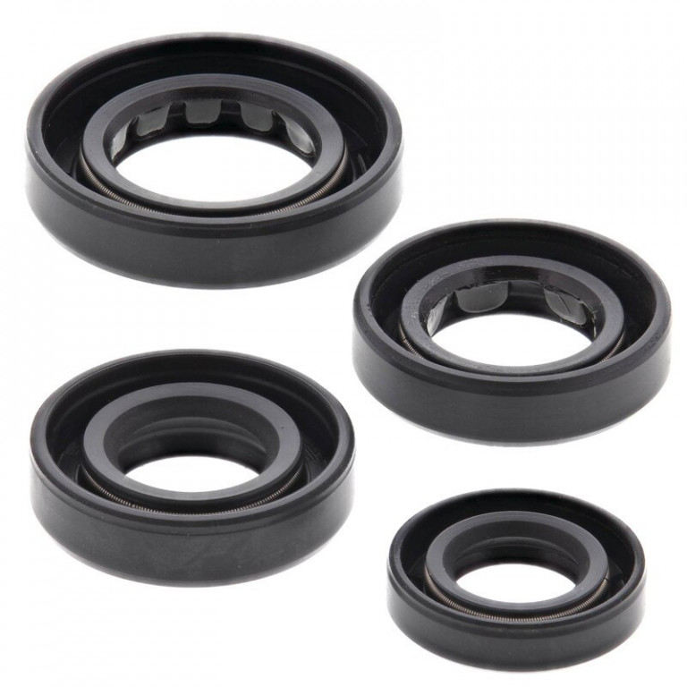Engine Oil Seal Kit WINDEROSA 822179