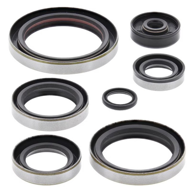 Engine Oil Seal Kit WINDEROSA 822190