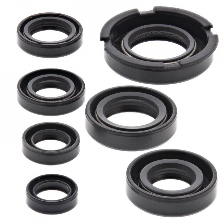Engine Oil Seal Kit WINDEROSA 822219
