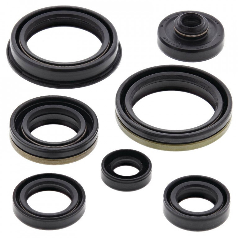 Engine Oil Seal Kit WINDEROSA 822266