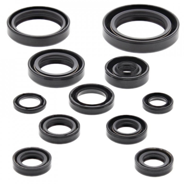 Engine Oil Seal Kit WINDEROSA 822271