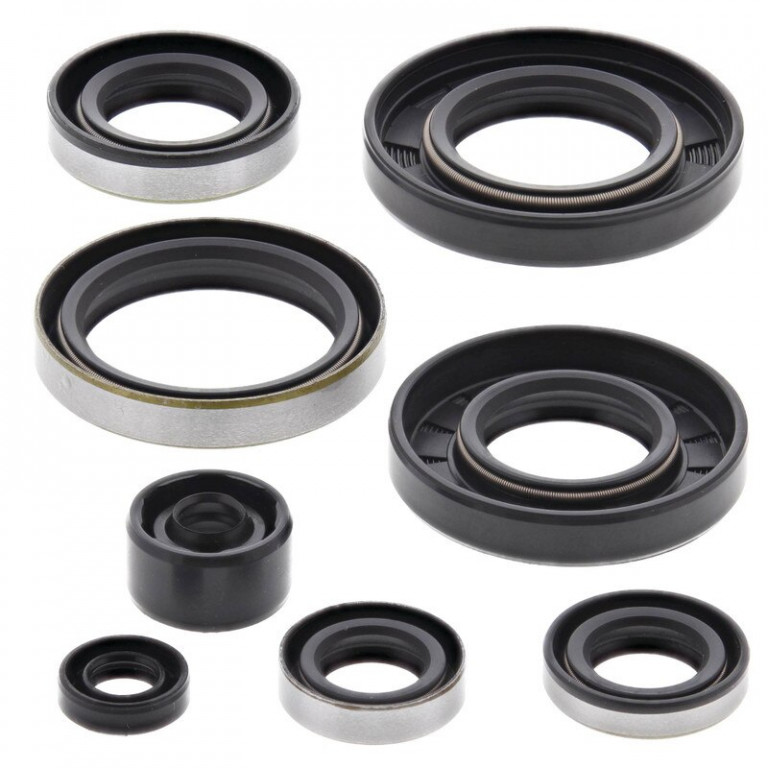 Engine Oil Seal Kit WINDEROSA 822284
