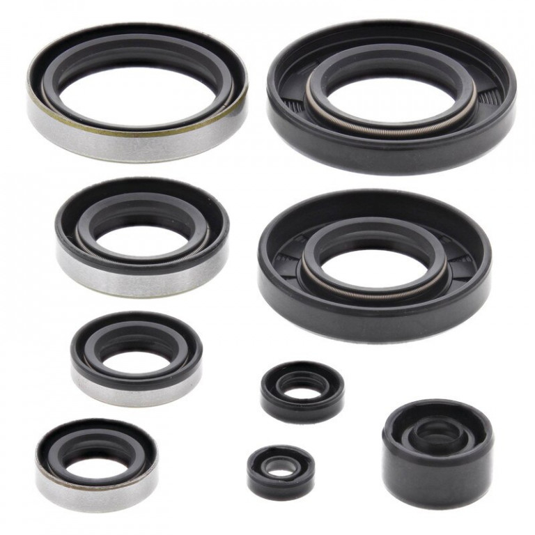 Engine Oil Seal Kit WINDEROSA 822285