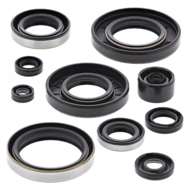 Engine Oil Seal Kit WINDEROSA 822287
