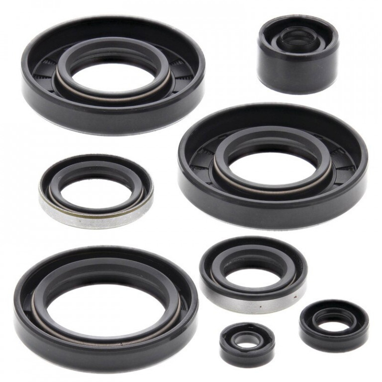 Engine Oil Seal Kit WINDEROSA 822293