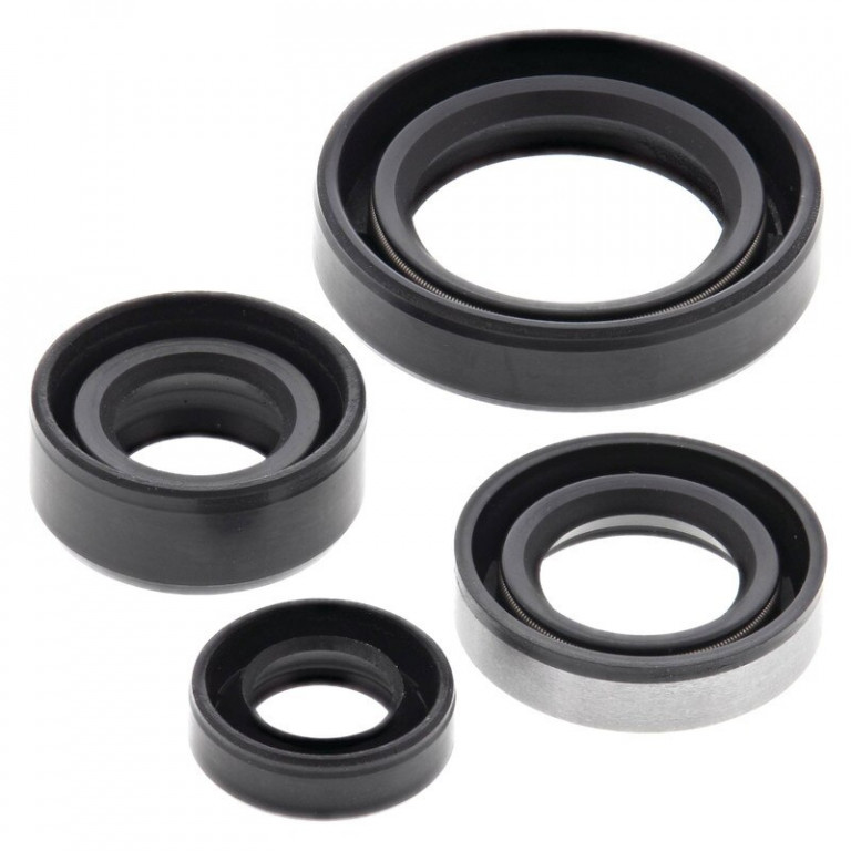 Engine Oil Seal Kit WINDEROSA 822309