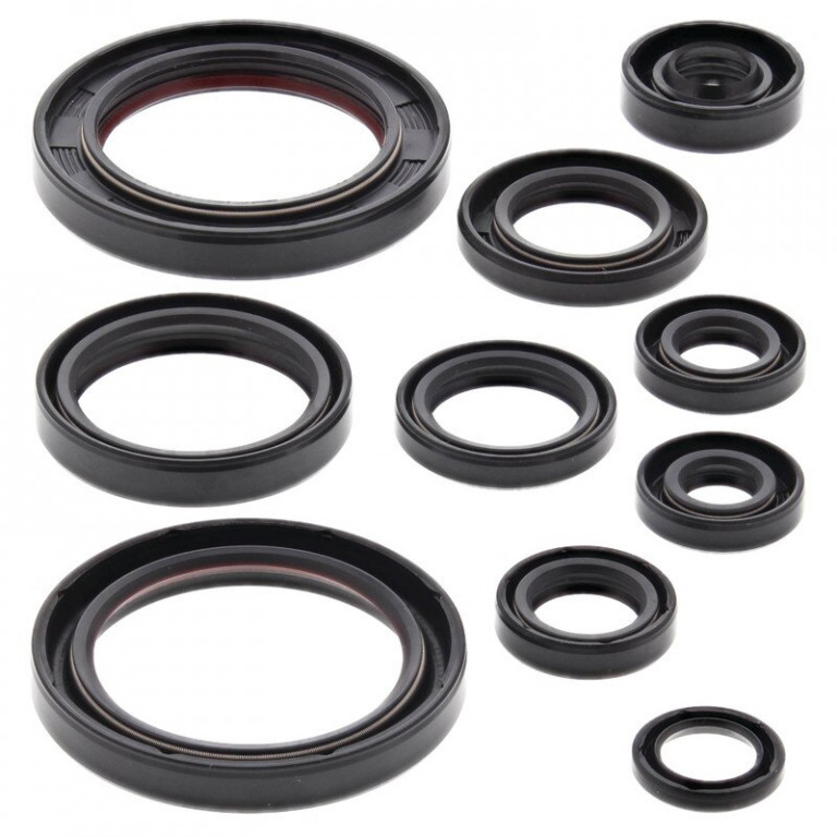 Engine Oil Seal Kit WINDEROSA 822330