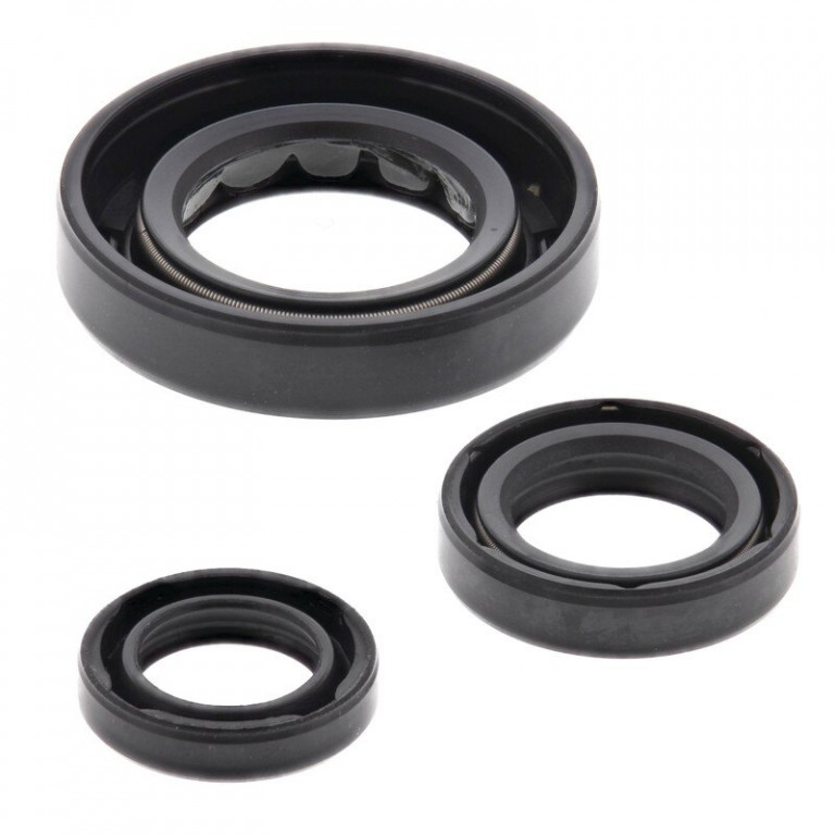 Engine Oil Seal Kit WINDEROSA 822331