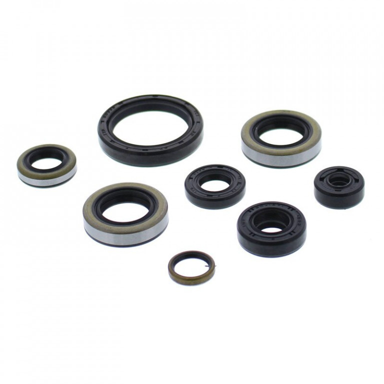 Engine Oil Seal Kit WINDEROSA 822365