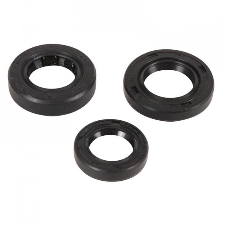Engine Oil Seal Kit WINDEROSA 822389