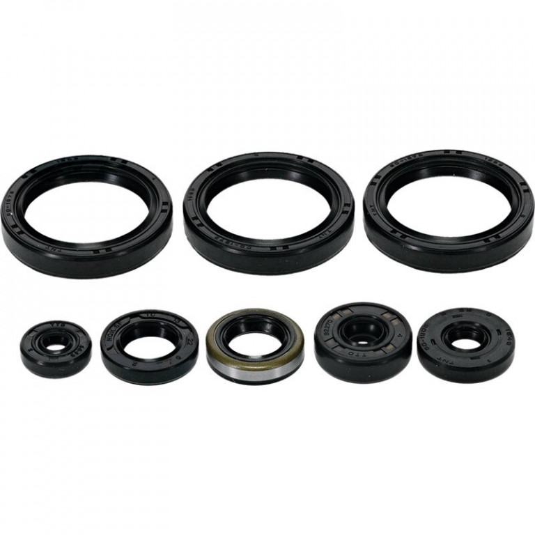 Engine Oil Seal Kit WINDEROSA 822403