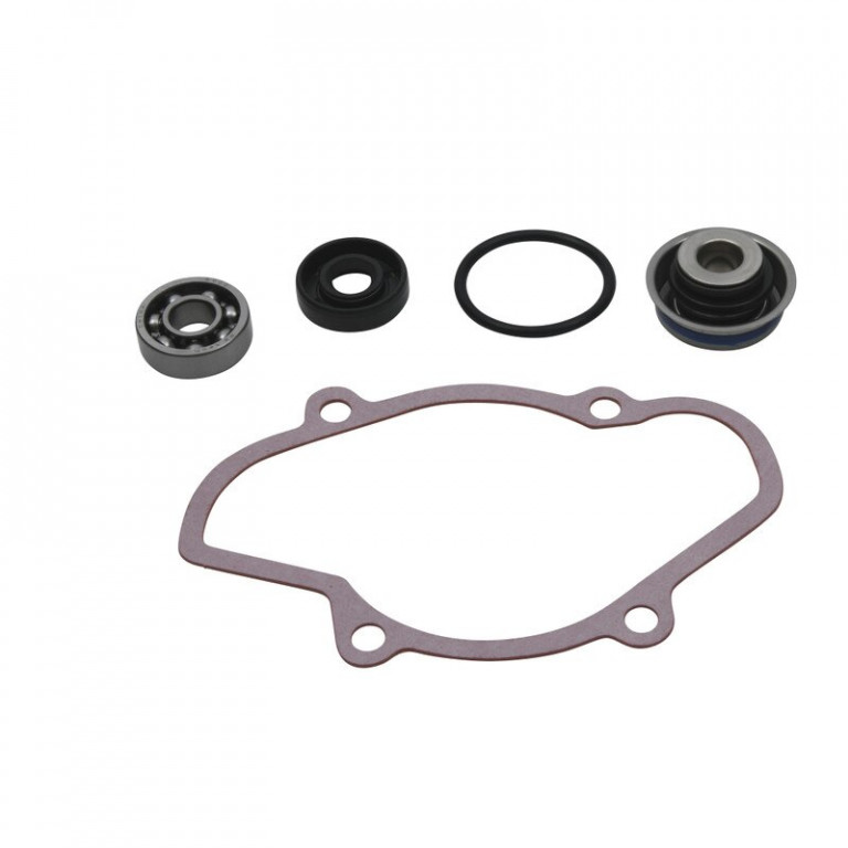 Water Pump Rebuild Kit WINDEROSA 721312