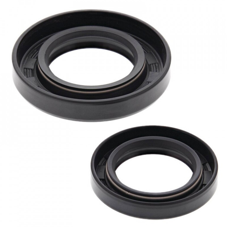 Oil seal set WINDEROSA 622120