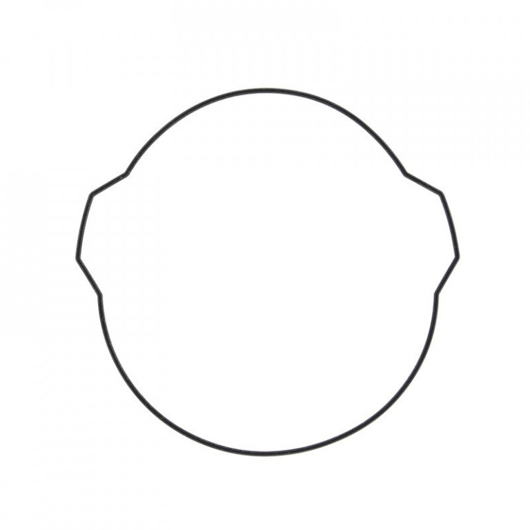 Clutch cover gasket WINDEROSA 817928-1