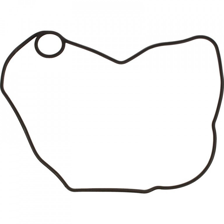 Ignition Cover Gasket WINDEROSA 816330