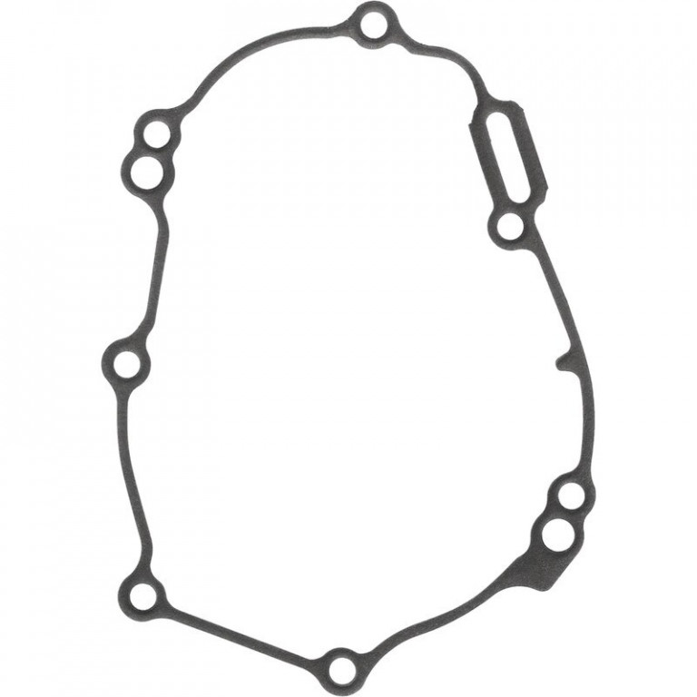 Ignition cover gasket WINDEROSA 816347