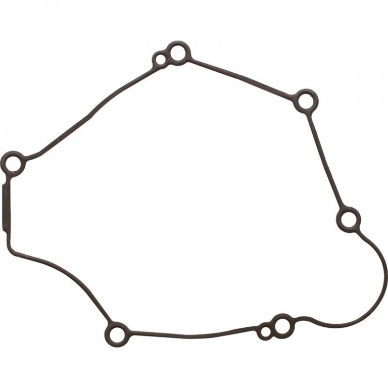 Ignition Cover Gasket WINDEROSA 816387