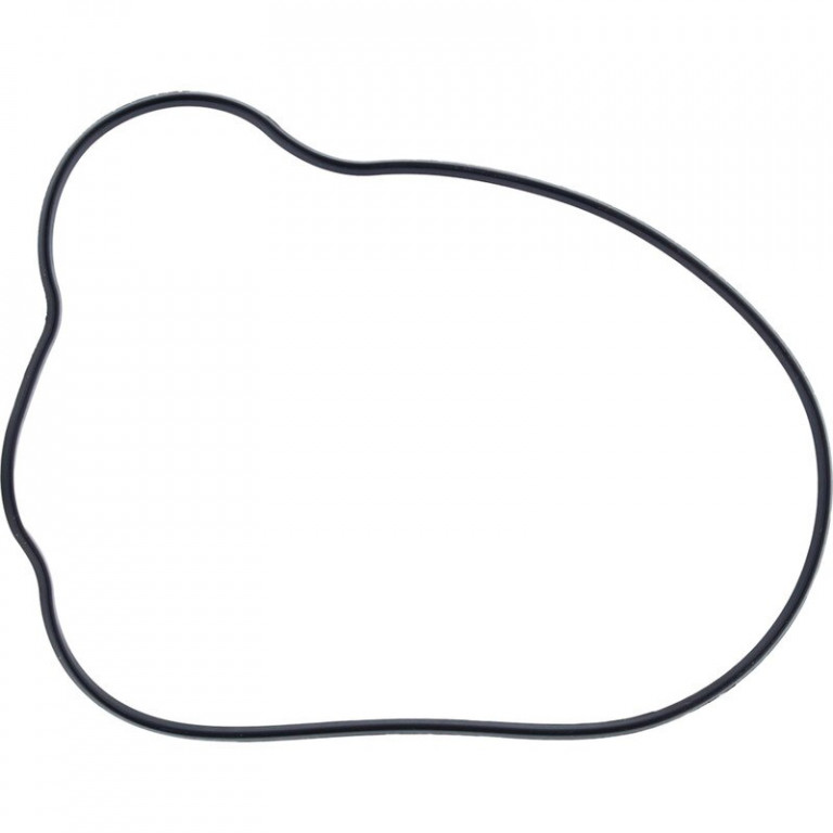 Ignition Cover Gasket WINDEROSA 819230