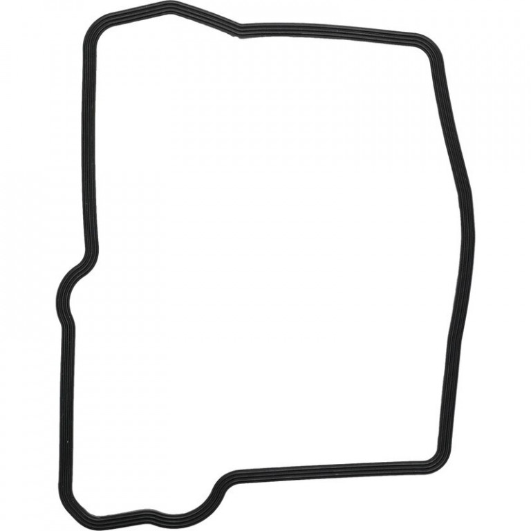 Valve cover gasket WINDEROSA 819163