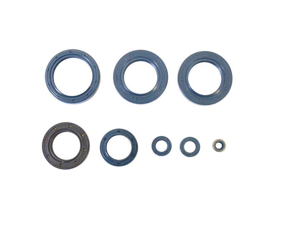 Set dihtunga za ulje za motor ATHENA P400010400020