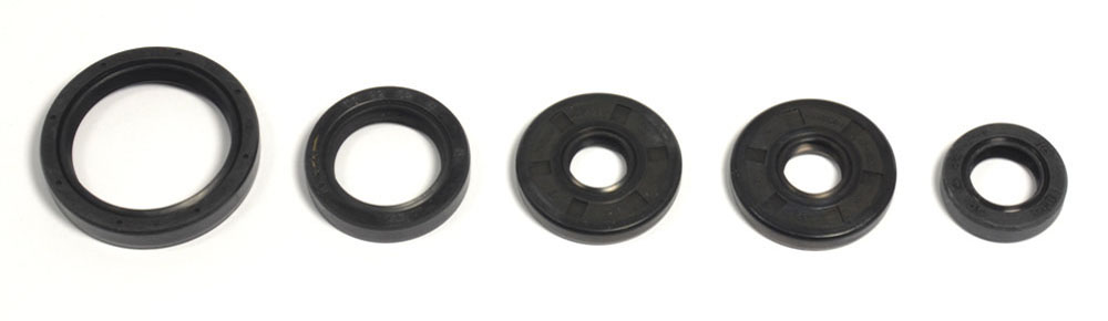 Set dihtunga za ulje za motor ATHENA P400068400015