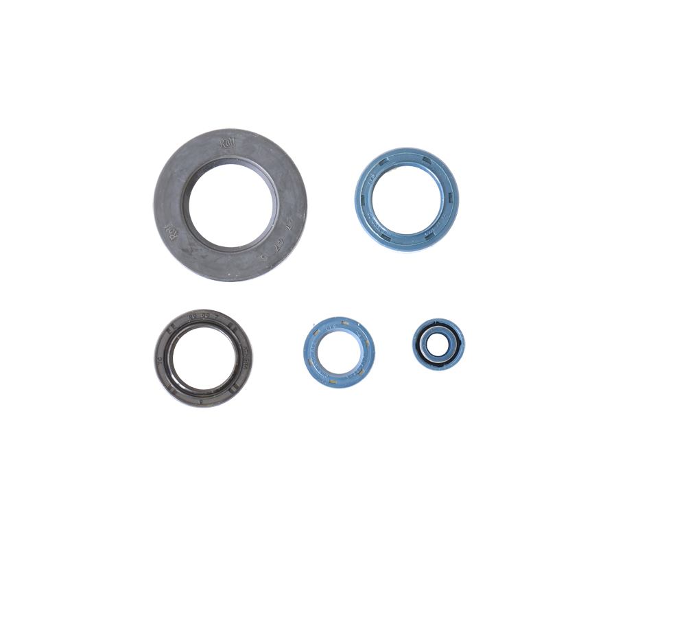 Set dihtunga za ulje za motor ATHENA P400120400030