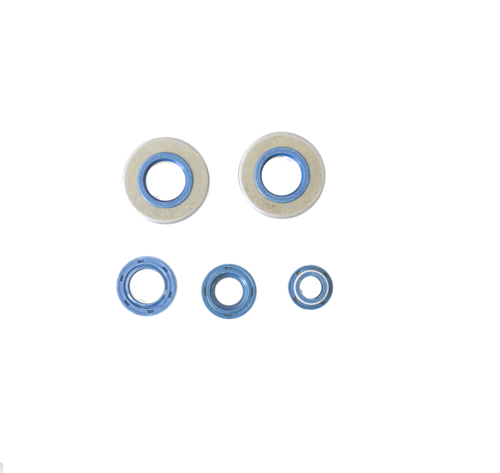 Set dihtunga za ulje za motor ATHENA P400130400200