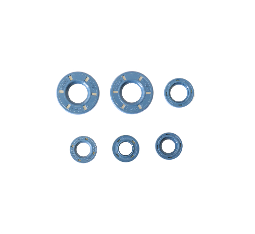 Set dihtunga za ulje za motor ATHENA P400150400210