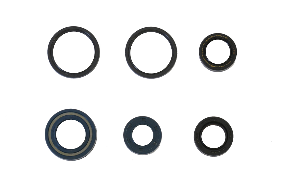 Set dihtunga za ulje za motor ATHENA P400210400004
