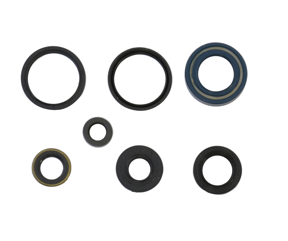 Set dihtunga za ulje za motor ATHENA P400210400006