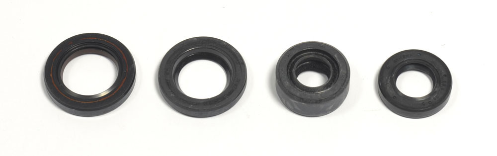 Set dihtunga za ulje za motor ATHENA P400210400182