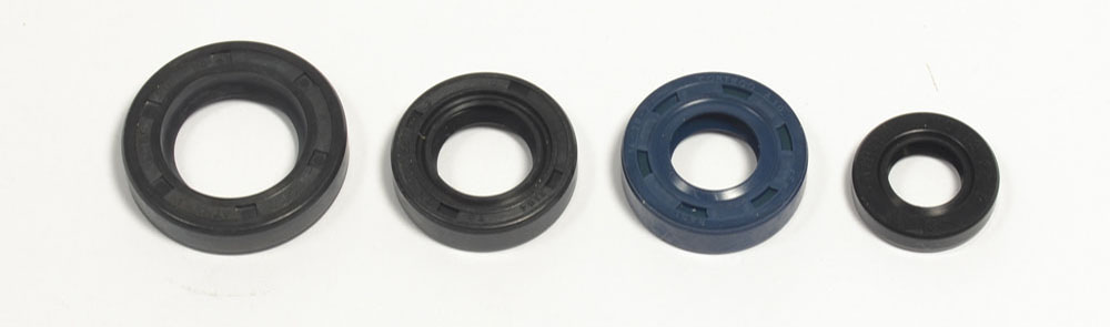 Set dihtunga za ulje za motor ATHENA P400210400192