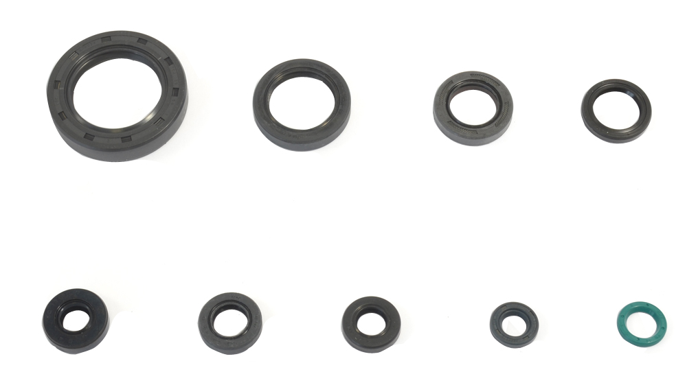 Set dihtunga za ulje za motor ATHENA P400210400249