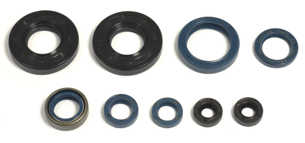Set dihtunga za ulje za motor ATHENA P400220400126
