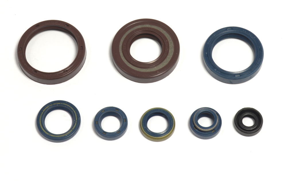 Set dihtunga za ulje za motor ATHENA P400220400128